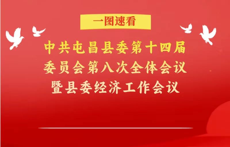 一图读懂全会报告！2025年屯昌这样干→