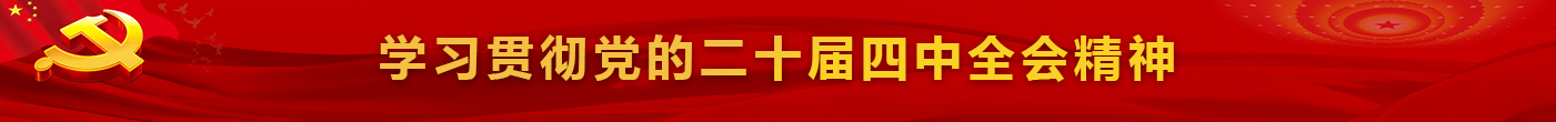 学习贯彻党的二十届四中全会精神