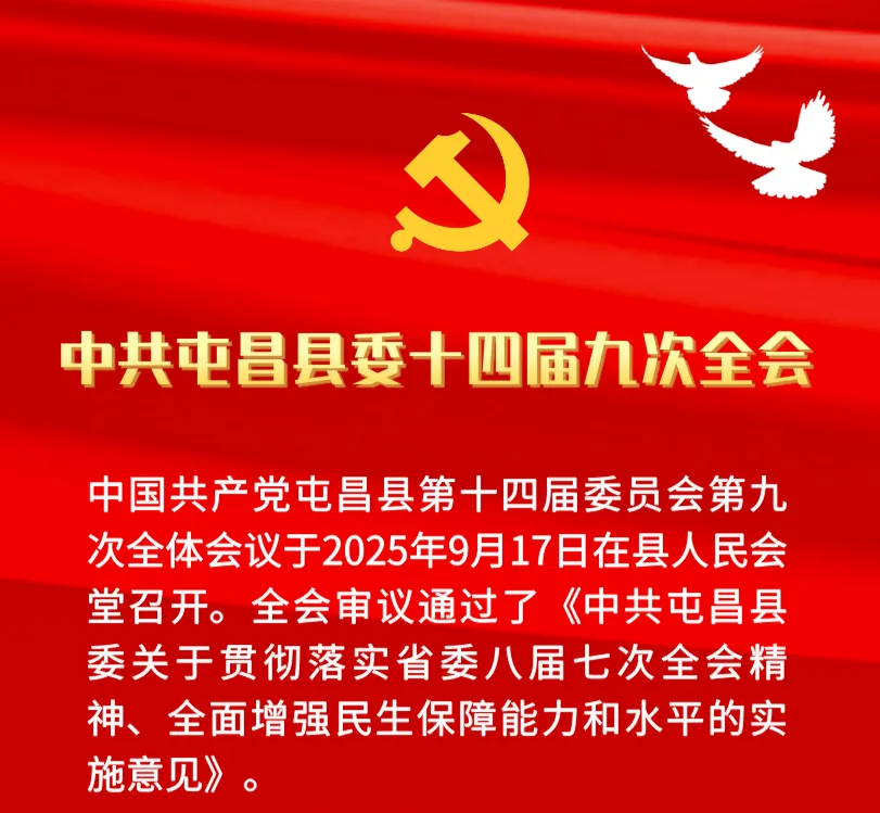 一图读懂丨中国共产党屯昌县第十四届委员会第九次全体会议精神